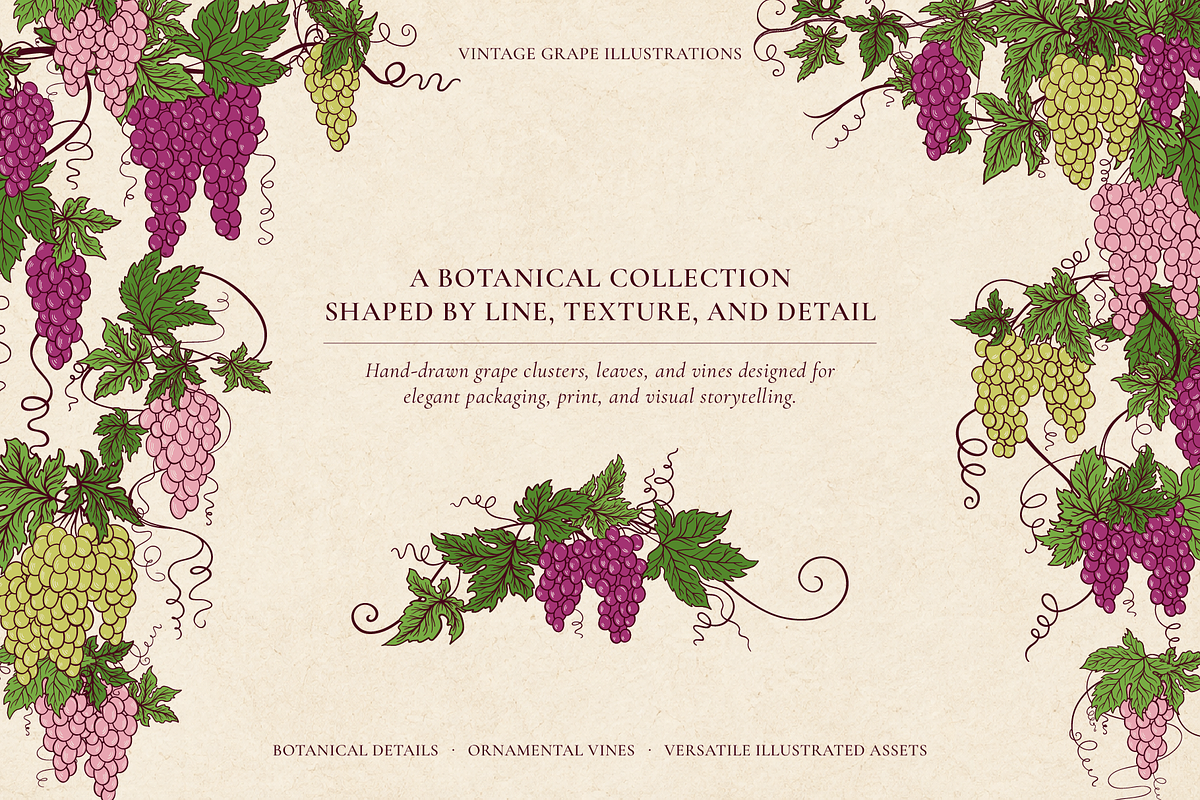 Vintage Grape Vector set Wine Labels, a Food Illustration by Neliakott ♥ (Photo 10 of 10)