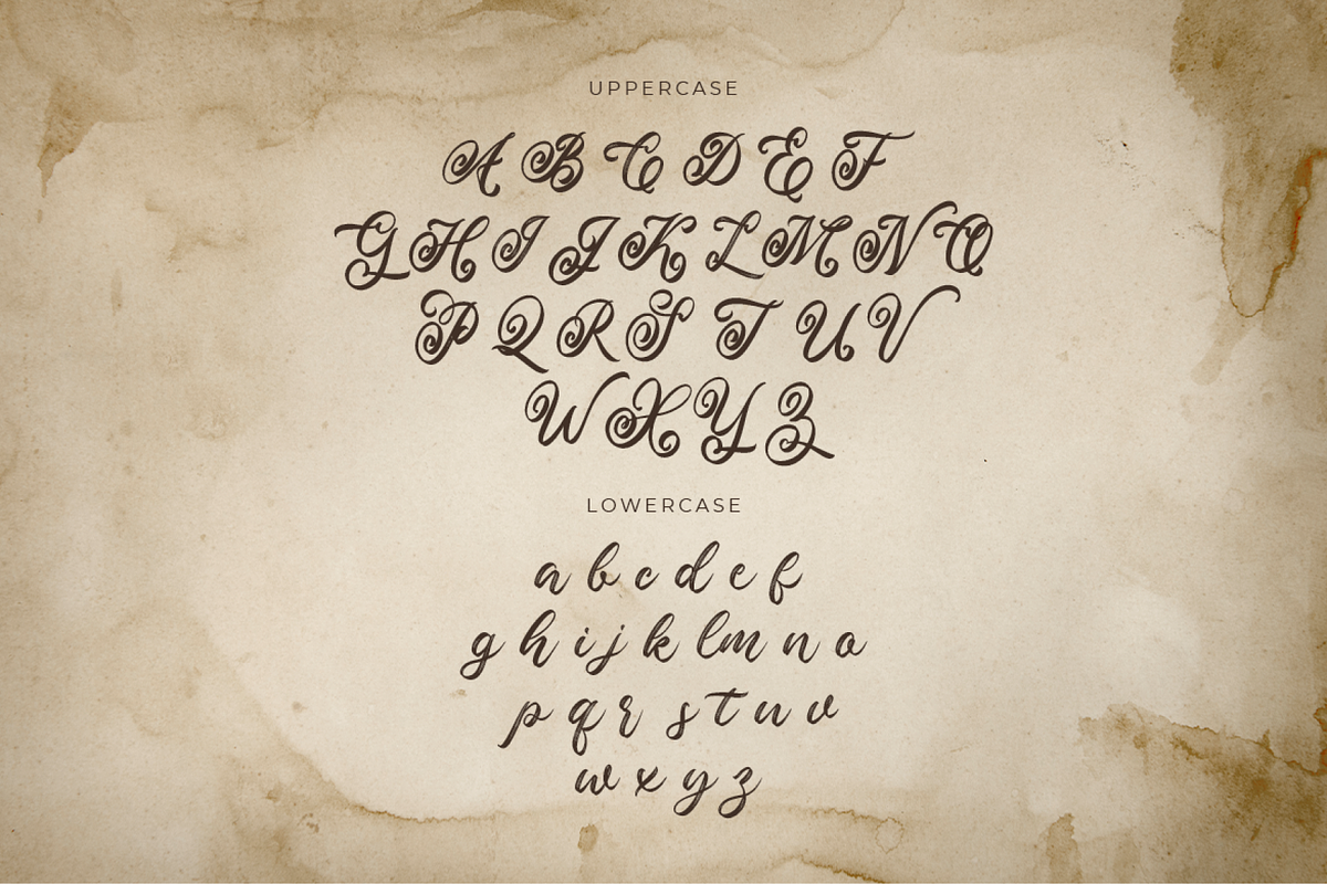 Valleita Script, a Script Font by Colllab Studio (Photo 16 of 19)
