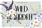 Wild Garden. Watercolor wildflowers., an Object Illustration by ma_i_vi (Thumbnail 1 of 11)