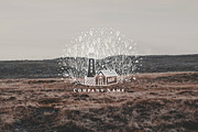 NATURE & ARCHITECTURE ILLUSTRATIONS, an Object Illustration by Luna Dreams (Thumbnail 5 of 10)