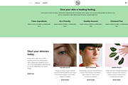 Shopify Candle Theme Light Green, a Templates & Theme by Exclusive Themes (Thumbnail 2 of 10)