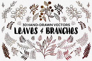 Hand Drawn Vector Leaves & Branches