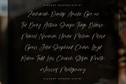 Sanetury Grethan Elegant Script, a Script Font by Letterena Studios Script (Thumbnail 11 of 15)