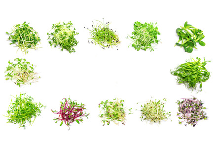 Collage of different microgreens on, a Food & Drink Photo by yanadjana