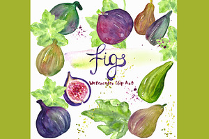 Figs. Watercolor Clip Art.