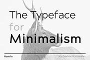 HAMLIN - Minimalist Font Family, a Sans Serif Font by Designova® (Thumbnail 3 of 9)