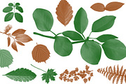 Leaf brush stamps Photoshop, a Brush Add-On by Chipshpow Graphics (Thumbnail 4 of 8)
