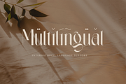 Wastogi Beautiful Serif, a Serif Font by Creatype Studio (Thumbnail 10 of 10)