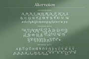 The Moot Jungle Nature Typeface, a Serif Font by alit design (Thumbnail 7 of 15)