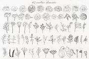 Elegant floral collection.Line art, a Decorative Illustration by Vera●Suleimanova (Thumbnail 10 of 15)