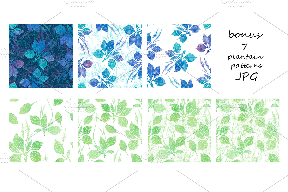 Wildherbs and flowers. Patterns., a Pattern Graphic by maritime_m (Photo 16 of 16)