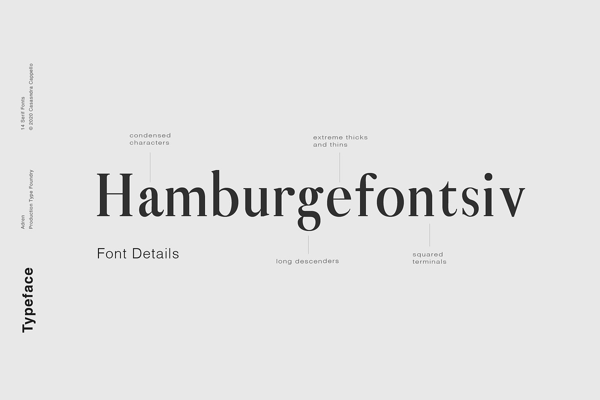 Adren - A Modern & Refined Typeface, a Serif Font by Cassandra Cappello (Photo 3 of 5)