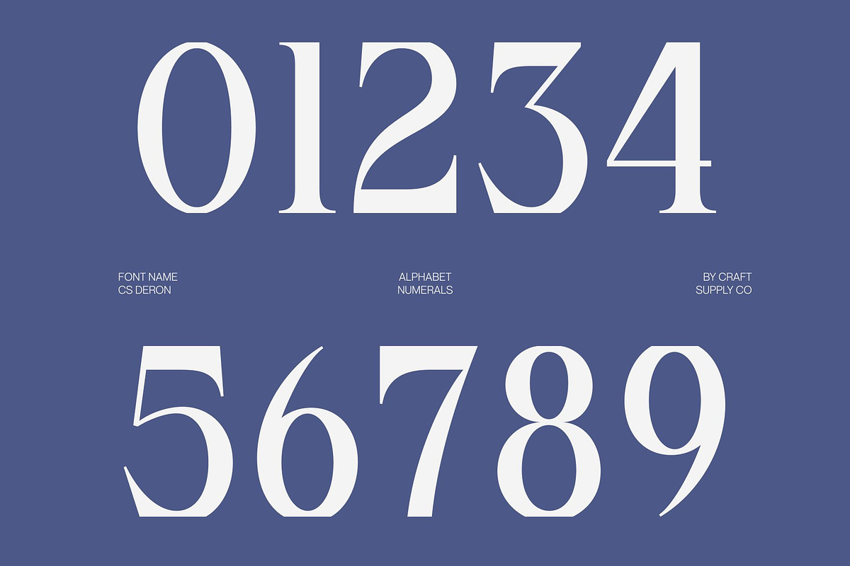 CS Deron – Modern Serif Font, a Serif Font by Craft Supply Co. (Photo 6 of 8)