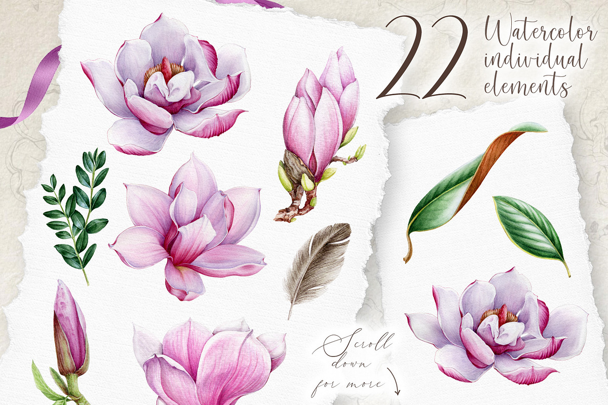 Pink Magnolia Watercolor Collection, a Decorative Illustration by AnitaPol (Photo 2 of 14)