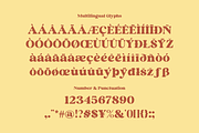 Bright Almond, a Serif Font by zeenesia (Thumbnail 13 of 17)