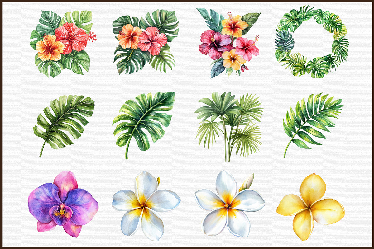 Tropical Floral Watercolor Clipart S, an Illustration by Sublimation Artist (Photo 3 of 6)