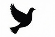 Bird Silhouette design bundle, an Illustration by Creativeshirt (Thumbnail 9 of 11)