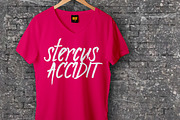 Sygnifique Brush Marker Font, a Sans Serif Font by lissius (Thumbnail 5 of 6)