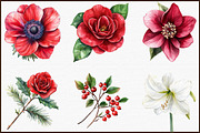 Watercolor Christmas Flowers Clipart, an Illustration by Sublimation Artist (Thumbnail 3 of 6)