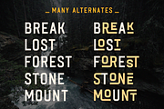 Black River, a Font by Larin Type Co. (Thumbnail 7 of 10)