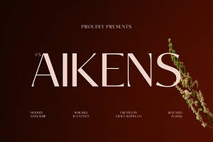 CS Aikens – Elegant Sans Serif, a Sans Serif Font by Craft Supply Co.