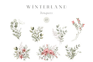 Watercolor Winter. Christmas Florals