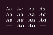 Sincerity, a Serif Font by OceaneM (Thumbnail 3 of 8)