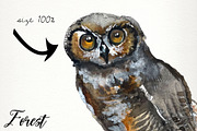 Forest animals watercolor clip art, an Animal Illustration by SandraGraphicDesign (Thumbnail 5 of 5)
