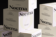 Valero - Classic Serif Family, a Serif Font by Indotype Foundry (Thumbnail 6 of 10)