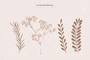 Organic Botanicals & Logo Designs, an Illustration by amber&ink (Thumbnail 8 of 17)