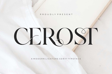Cerost Modern Ligature Typeface, a Serif Font by Dylla_studio