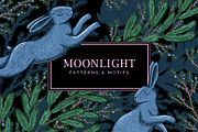 Moonlit Woodland — Winter Patterns, an Animal Illustration by Liiafis (Thumbnail 1 of 15)