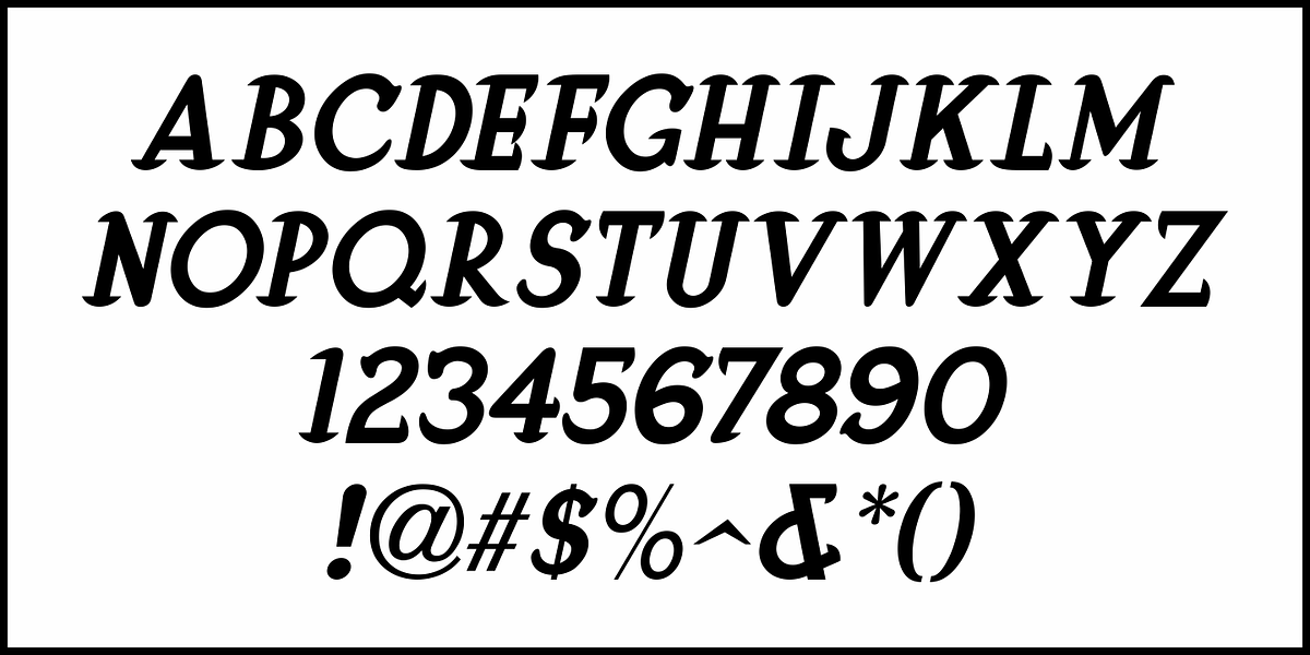 Street Vendor JNL, a Serif Font by Jeff Levine Fonts (Photo 5 of 5)