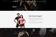 PureGym – Gym, Fitness & Business, a WordPress Template by Cherry Wordpress Theme (Thumbnail 3 of 9)