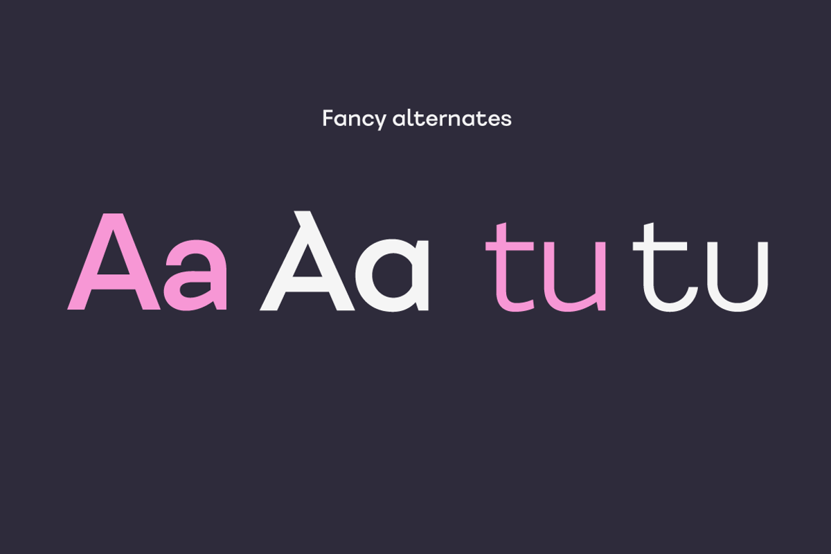 Fibra - Family 50% off, a Sans Serif Font by Los Andes Type (Photo 13 of 17)