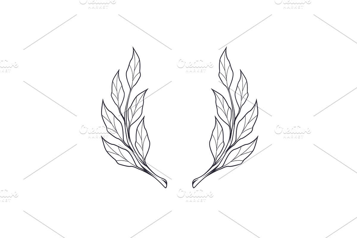 Simple hand drawn laurel wreath icon, a Decorative Illustration by Aleksandrs
