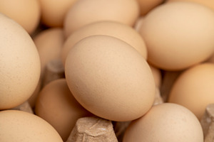 fresh chicken eggs during packaging, light chicken eggs in paper packaging, a Photo by rsoollAI