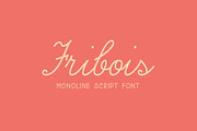 Fribois Monoline Script, a Script Font by Bart Wesolek (Thumbnail 1 of 7)