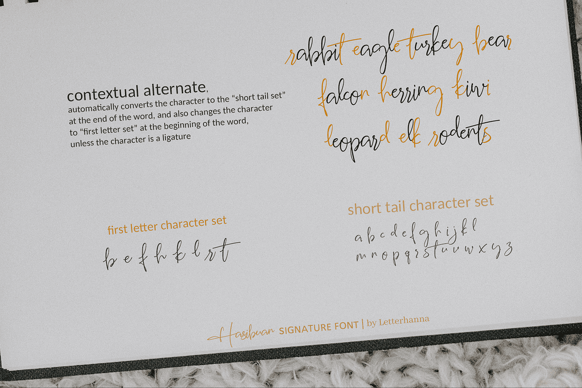 Hasibuan Font, a Script Font by Letterhanna Studio (Photo 14 of 17)