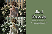 30 Mint Lightroom Collection, a Preset Add-On by 3Motional (Thumbnail 6 of 11)