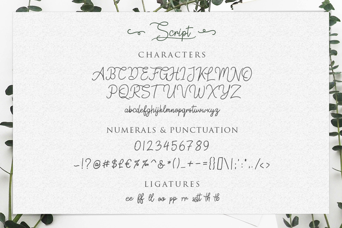 Springfield | Fontduo+Extras preview 4