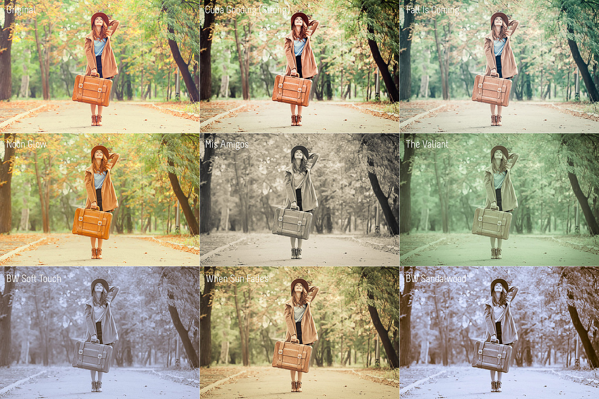 Special Effects Presets Lightroom preview 8