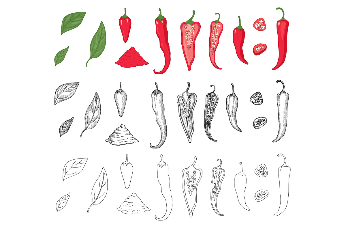 Pepper set, color hand drawn style, a Food Illustration by RoMashkaVector