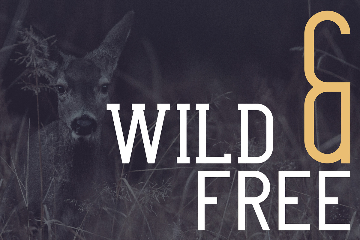 Crossroad -Vintage typeface|16 fonts preview 7