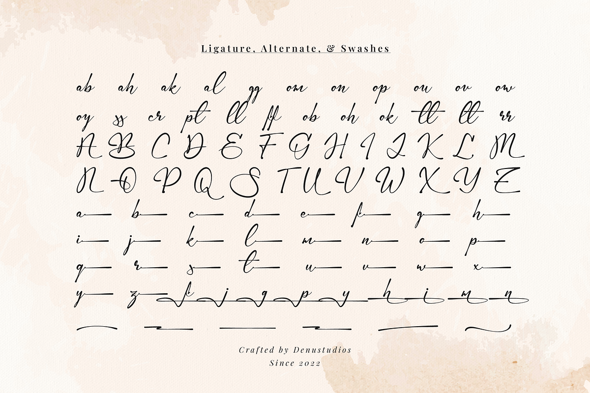 Gamlowfei | Elegant Signature, a Script Font by Denustudios (Photo 12 of 12)