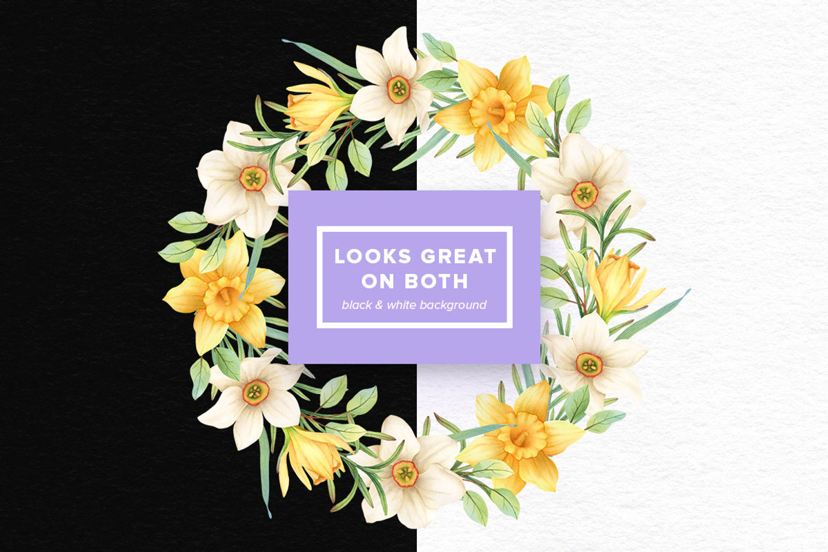 Watercolor Daffodils Set, an Object Graphic by Kotulska (Photo 3 of 3)