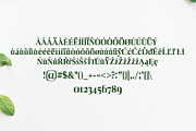 Barnes Serif 7 Font Family Pack, a Serif Font by Creativetacos (Thumbnail 3 of 5)