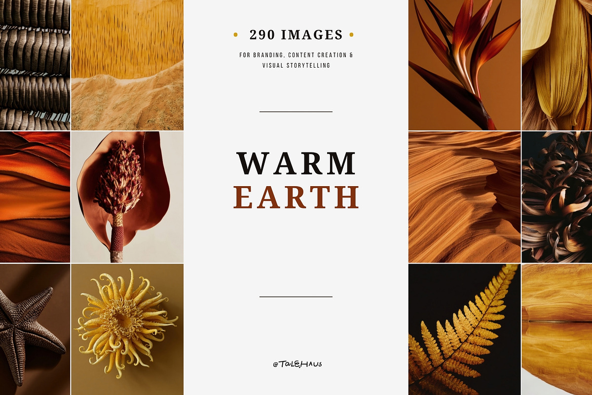Warm Earth | 290 Earth Tone Photos, a Nature Photo by Tale.Haus (Photo 1 of 18)