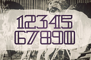 Royal Flush Typeface, a Serif Font by Jordan Burgen Design (Thumbnail 2 of 6)