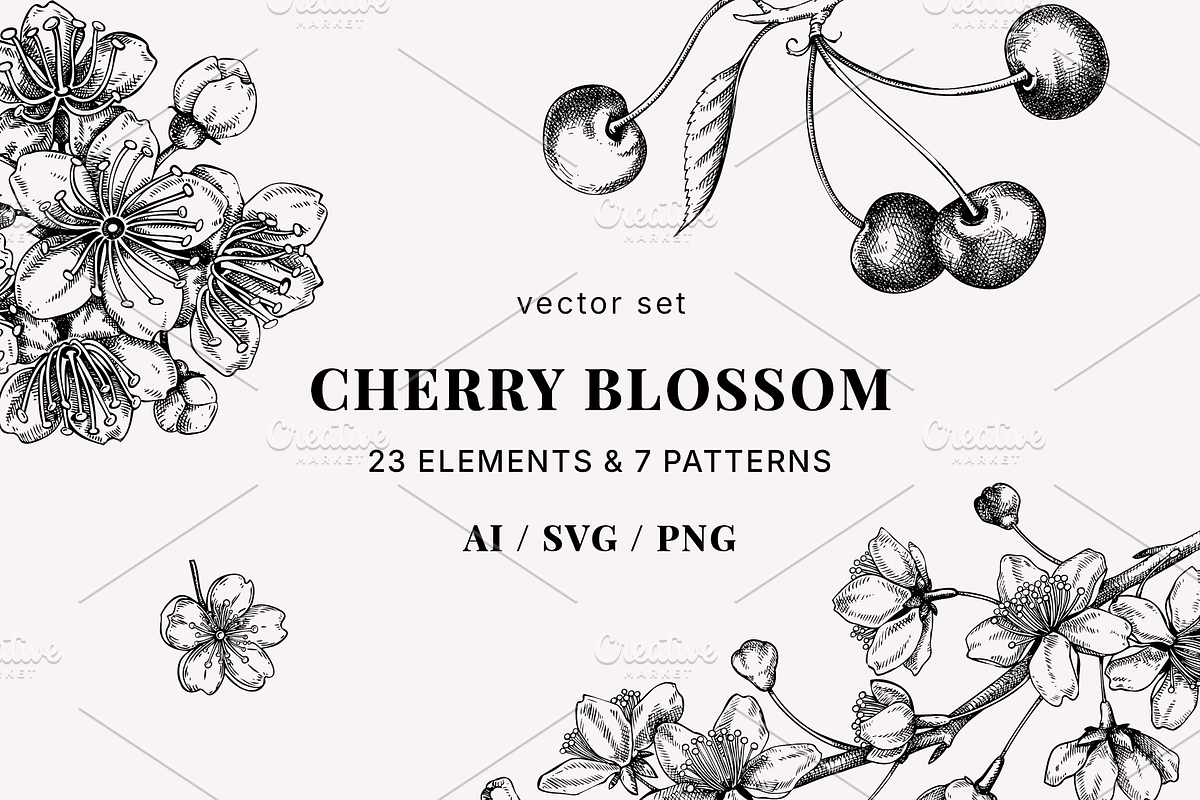 Vintage Cherry Blossom Vector Set, an Object Graphic by Yevheniia (Photo 1 of 9)